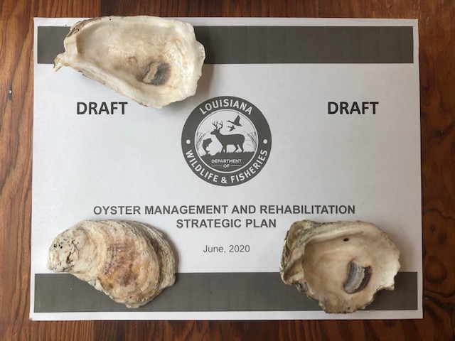 Louisiana (LDWF) Draft Oyster Strategic Plan